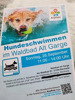Bild vom Plakat über das Hundeschwimmen im Waldbad Alt Garge