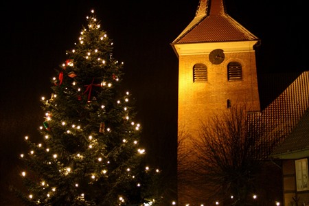 Beleuchteter Weihnachtsbaum bei der St.-Jacobi-Kirche